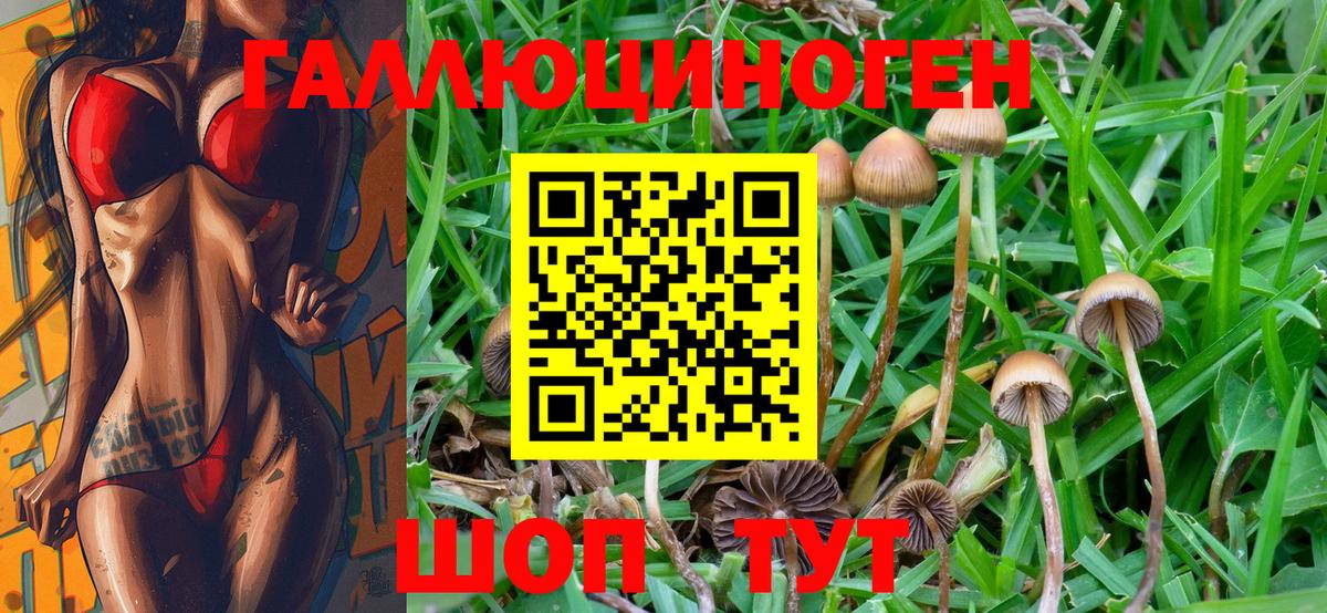 Псилоцибиновые грибы Magic Shrooms Тула