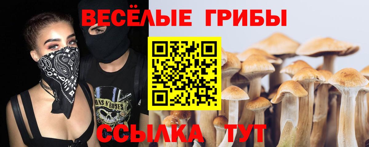 Псилоцибиновые грибы прущие грибы  Вход с VPN  Тула 